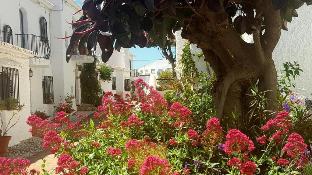 Apartamento Capistrano Village Nerja Exterior foto